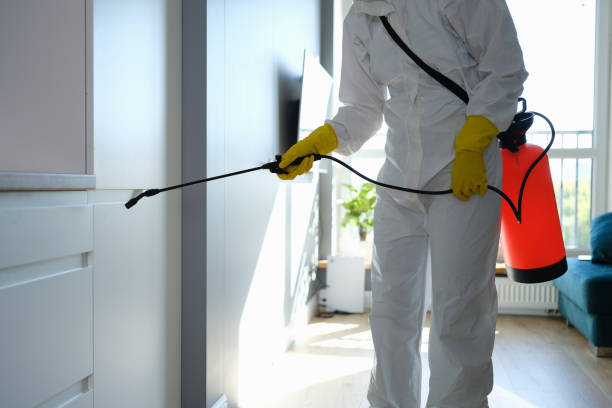 Best Mold Removal and Inspection  in Cass City, MI