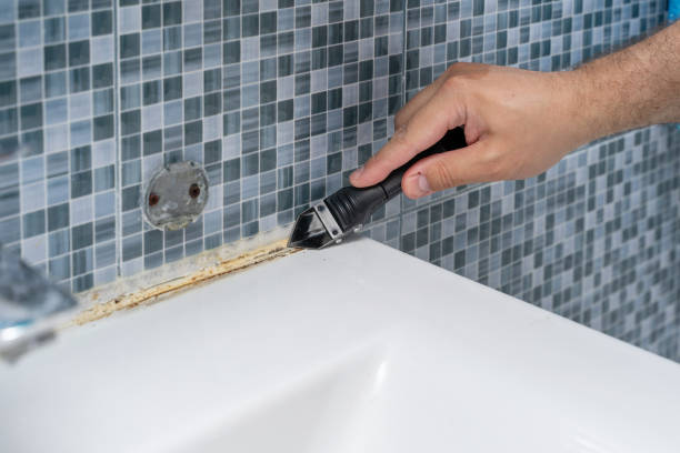 Trusted Cass City, MI Mold Removal Experts