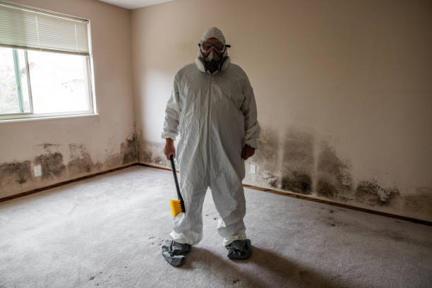 Best Residential Mold Removal  in Cass City, MI